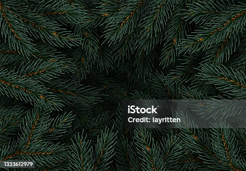 istock Tree pine branches, spruce branch 1333612979