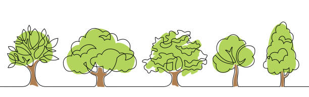 ilustraciones, imágenes clip art, dibujos animados e iconos de stock de árbol establece un color de línea - tree