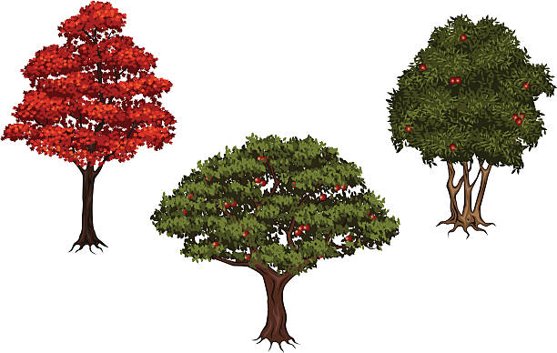 tree set vector art illustration