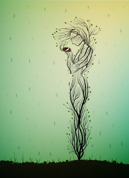 stockillustraties, clipart, cartoons en iconen met boom silhouet als een vrouw bedrijf nest met witte vogel en het verbergen van de regen, voorjaar tree ziel, boom levend idee, - rain woman sun