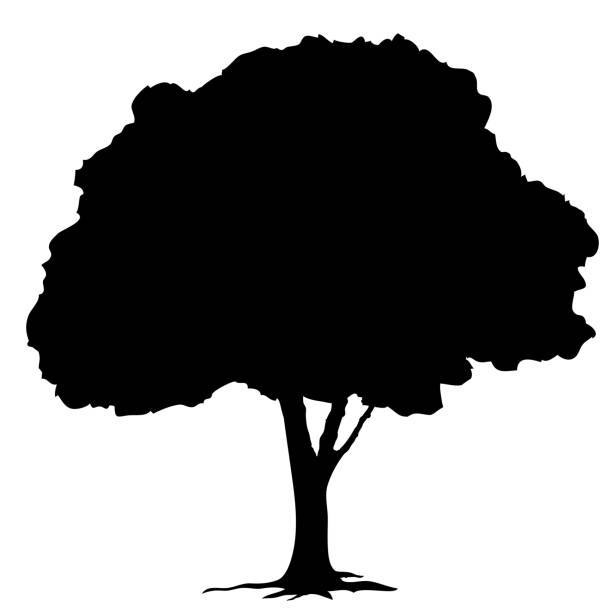 Tree silhouette on white background vector vector art illustration