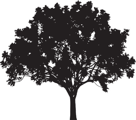 Tree silhouette, Vector