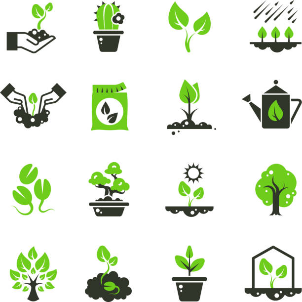 Tree sprout and plants vector icons. Seedling and hand planting pictograms Tree sprout and plants vector icons. Seedling and hand planting pictograms. Seedling and growth tree, gardening and growing illustration seed stock illustrations