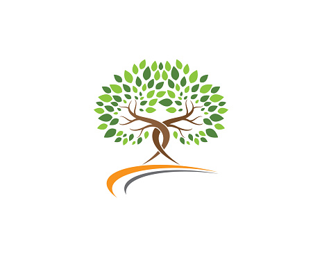 Tree Vector Icon Stock Illustration - Download Image Now - iStock