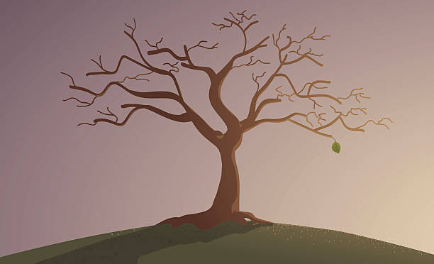 Tree With One Leaf Stock Illustration - Download Image Now - iStock