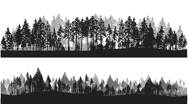 Treeline Header A vector silhouette illustration of two lines of trees including a closer looks a a row of pine trees and a further away view. forest silhouettes stock illustrations