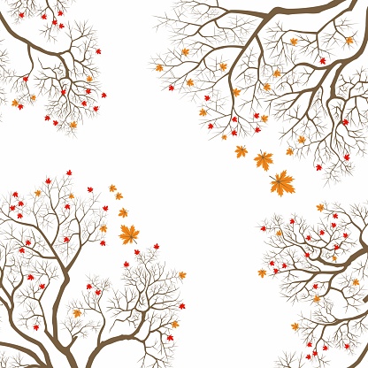 Trees and autumn Vektor Background