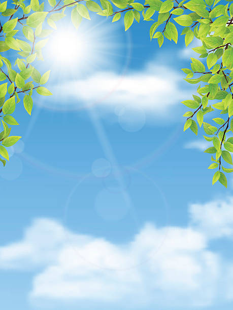 青空の背景に緑の葉を持つ木の枝 - 木漏れ日点のイラスト素材／クリップアート素材／マンガ素材／アイコン素材