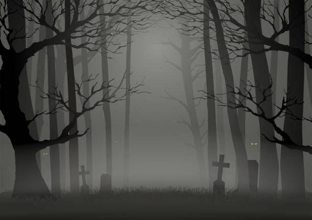 Trees in the dark scary woods vector art illustration