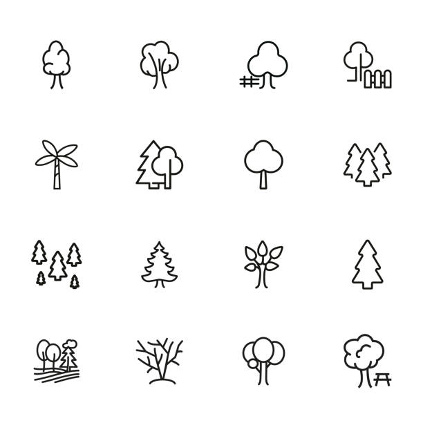 illustrazioni stock, clip art, cartoni animati e icone di tendenza di set di icone linea alberi - albero