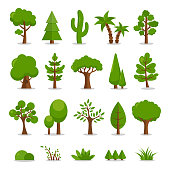 Trees Set - Vector Cartoon Illustration