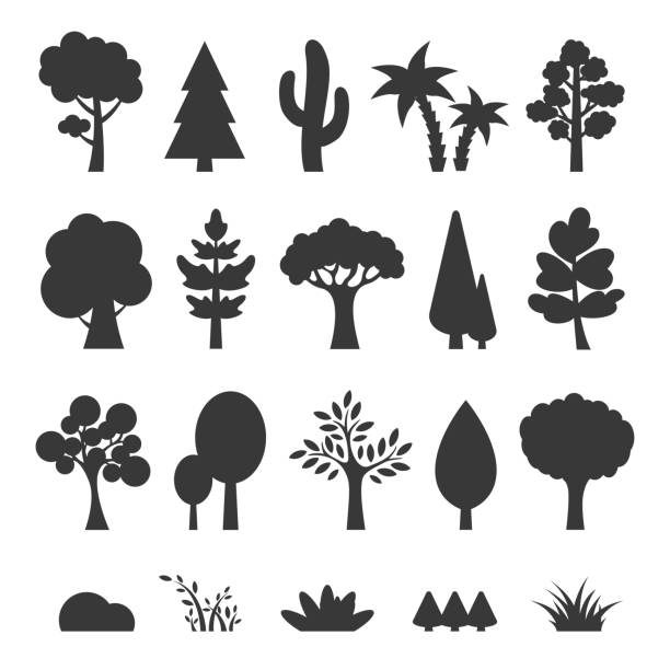 bäume set - vektor cartoon illustration - baum stock-grafiken, -clipart, -cartoons und -symbole