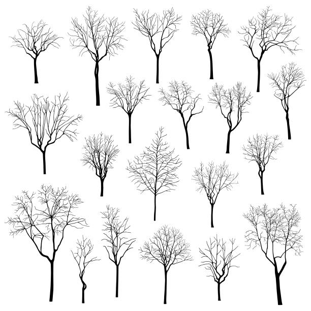 Trees silhouettes vector illustration set Bare trees vector set bare tree stock illustrations