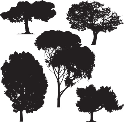Trees, vector