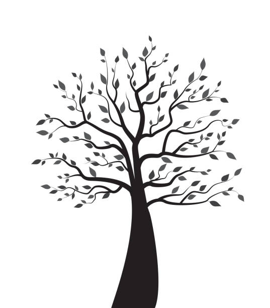 bildbanksillustrationer, clip art samt tecknat material och ikoner med träd med löv - tree of life