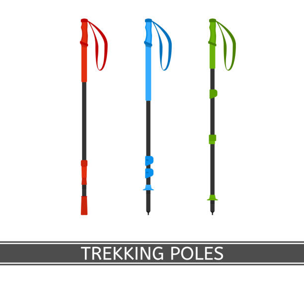 Trekking Poles Vector Vector illustration of trekking poles, isolated on white background, for hiking, camping, climbing. Sport equipment in flat style. mountain climber exercise stock illustrations