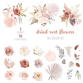 Trendy dried palm leaves, blush pink and rust rose, pale protea, white ranunculus, pampas grass vector design big set.Trendy flowers. Beige, gold, brown, rust, taupe.Elements are isolated and editable