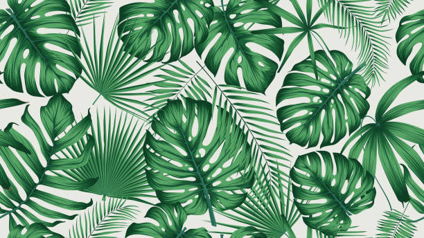 ilustrações, clipart, desenhos animados e ícones de na moda sem costura padrão tropical com exóticas folhas e plantas selva - botânica assunto