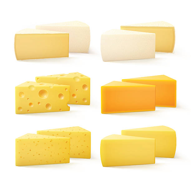 Triangular Pieces of Kind Cheese Swiss Cheddar Bri Parmesan Camembert Vector Set of Triangular Pieces of Various Kind of Cheese Swiss Cheddar Bri Parmesan Camembert Close up Isolated on White Background cheddar cheese stock illustrations