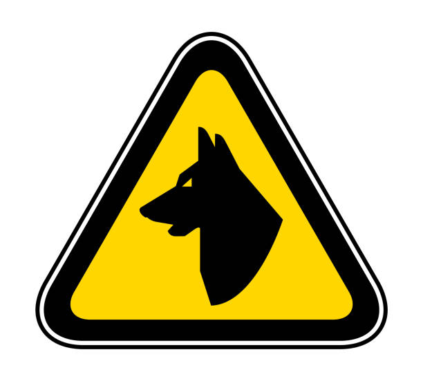 Triangular Warning Hazard Symbol Triangular yellow Warning Hazard Symbol, vector illustration guard dog stock illustrations