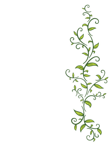 Tribal Vine with Leaves