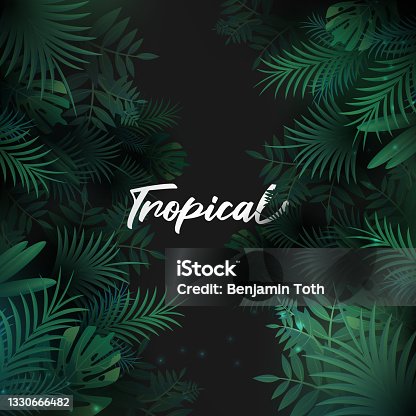 istock Tropical background with palm leaves 1330666482