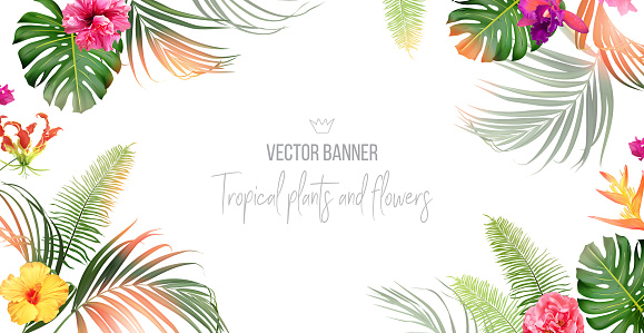 Tropical banner arranged from exotic emerald leaves and exotic flowers
