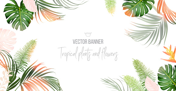 Tropical banner arranged from exotic pink leaves.