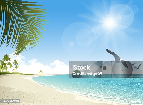 istock Tropical beach background 467375998