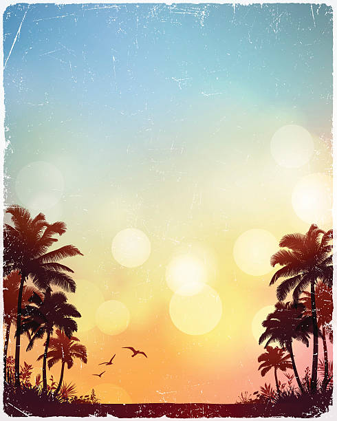 Tropical Beach Background Tropical beach background.Eps 10 file with transparencies.File is layered with global colors.Only gradients used.Hi res jpeg included.More works like this linked below. beach backgrounds stock illustrations