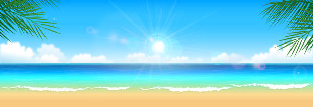 熱帶海灘背景 - 全景 幅插畫檔、美工圖案、卡通及圖標