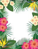 A page border made up of tropical flowers and leaves.
