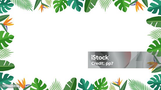 istock Tropical botanical leaves. surround decoration frame (white background, 16: 9 ratio) 1313401856