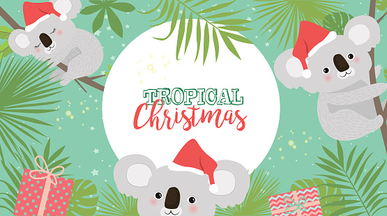 Tropical Christmas greeting card with koala bear and palm leaves
