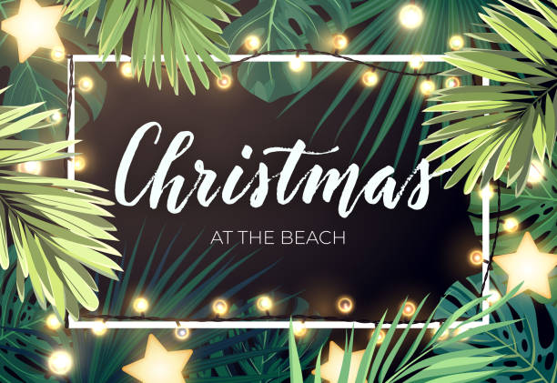 Tropical Christmas on the beach design with monstera palm leaves gold glowing stars and light bulb garlands, vector illustration. Tropical Christmas on the beach design with monstera palm leaves gold glowing stars and light bulb garlands, vector illustration. beach borders stock illustrations