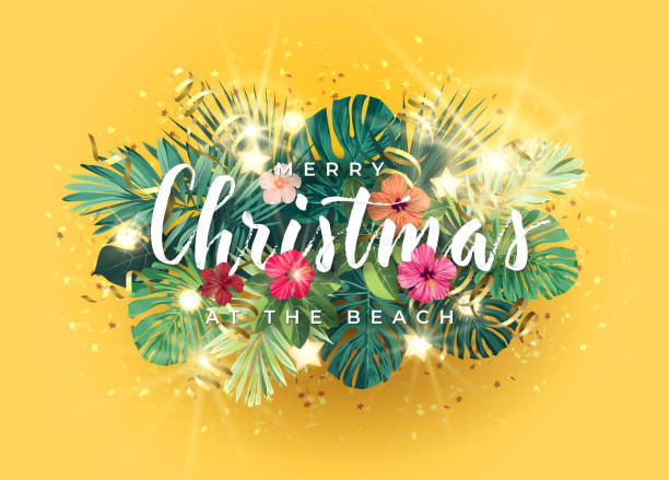 Tropical Christmas on the beach design with monstera palm leaves, hibiscus flowers, gold glowing stars and light bulbs, vector illustration. Tropical Christmas on the beach design with monstera palm leaves, hibiscus flowers, gold glowing stars and light bulbs, vector illustration. big island hawaii islands stock illustrations