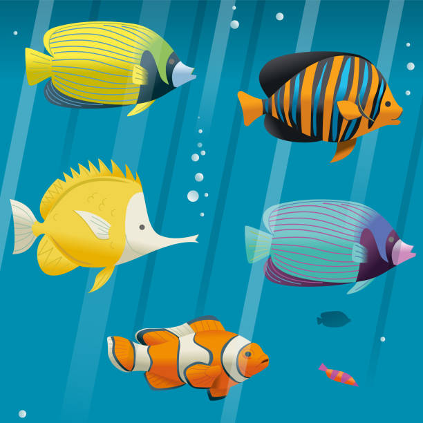 tropikalna ryba - great barrier reef stock illustrations