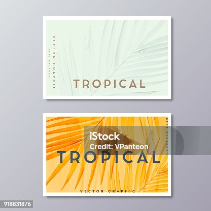 istock Tropical florals and foliage, botanical, bohemian business card templates. Minimalist wedding postcard design. Palm leaves decoration. 918831876