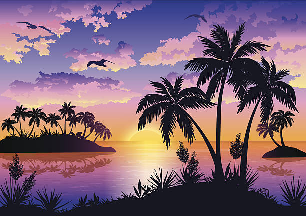 Tropical islands, palms, sky and birds Tropical sea landscape, black silhouettes islands with palm trees and flowers, clouds, sky with clouds, sun and birds gulls. Eps10, contains transparencies. Vector beach silhouettes stock illustrations