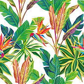 Sunny cheerful day on the tropical jungle. Birds of paradise and leaves vector seamless pattern composition. White background