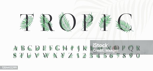 istock Tropical latin font with green leaves and branches of palm trees, decorative typeface letters and numbers for the design of wedding and greeting invitations 1354412299