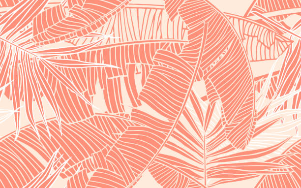 熱帯の葉。バナナの葉とヤシの葉とシームレスなパターン。デザイン要素、観光や旅行業界のためのバナー、夏の販売、織物や織物のための印刷 - 熱帯気候点のイラスト素材／クリップアート素材／マンガ素材／アイコン素材