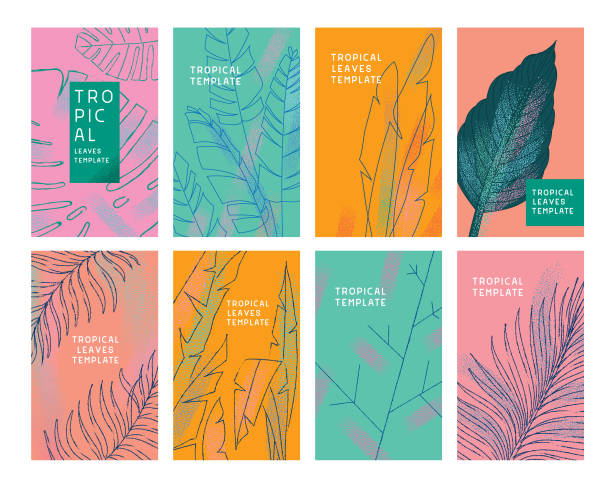 ilustrações de stock, clip art, desenhos animados e ícones de tropical leaves templates - tropical