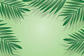 Tropical palm green leaves frame on green background. Trendy origami paper cut style vector illustration.