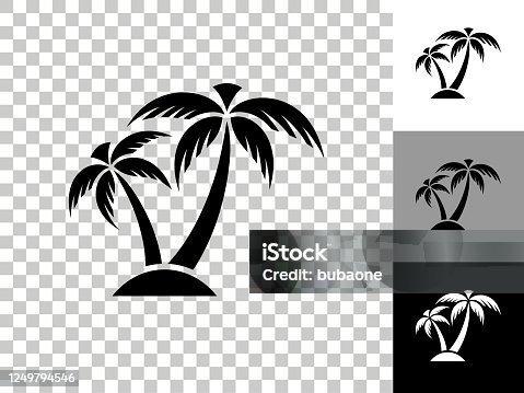 istock Tropical Palm Tree Icon on Checkerboard Transparent Background 1249794546
