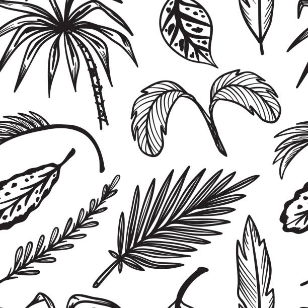 Download Hawaiian Flower Outline Illustrations, Royalty-Free Vector ...