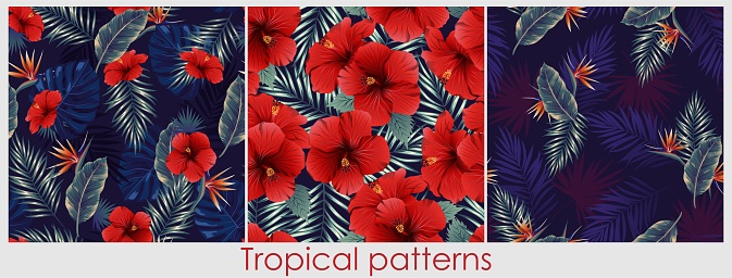 Tropical set with red hibiscus. Exotic jungle wallpaper.