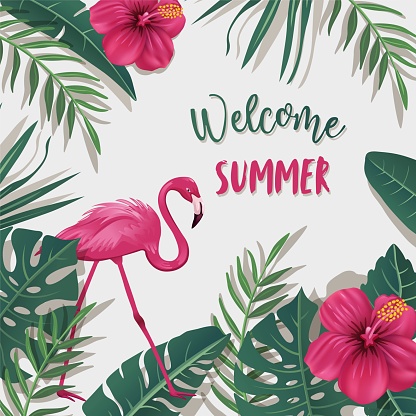 Tropical Summer Design Background
