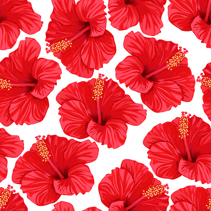 Tropical summer flowers bright background. Seamless pattern of red hibiscus flowers.