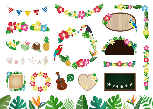 Tropical, summer material illustration collection (white background, no letters)